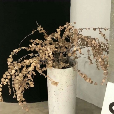 兽设配饰设计灵感福瑞群